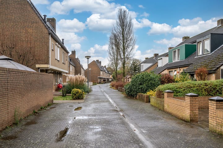 Foto 21 van Ligusterpad 6