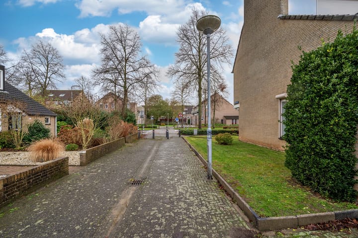 Foto 22 van Ligusterpad 6