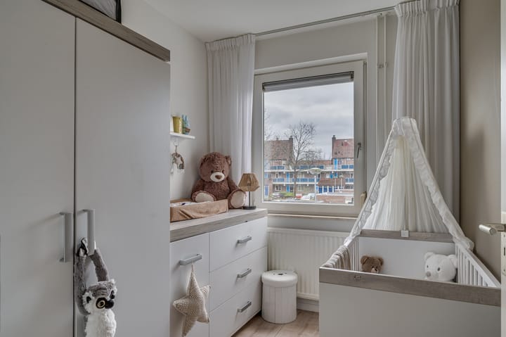 Foto 12 van Ligusterpad 6