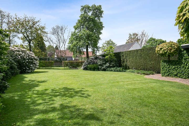 Foto 3 van Dokter Rauppstraat 24