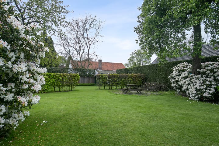 Foto 5 van Dokter Rauppstraat 24