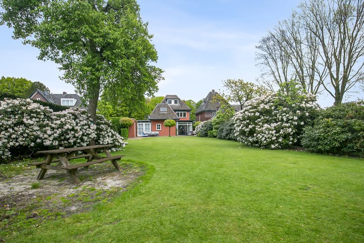 Foto 6 van Dokter Rauppstraat 24