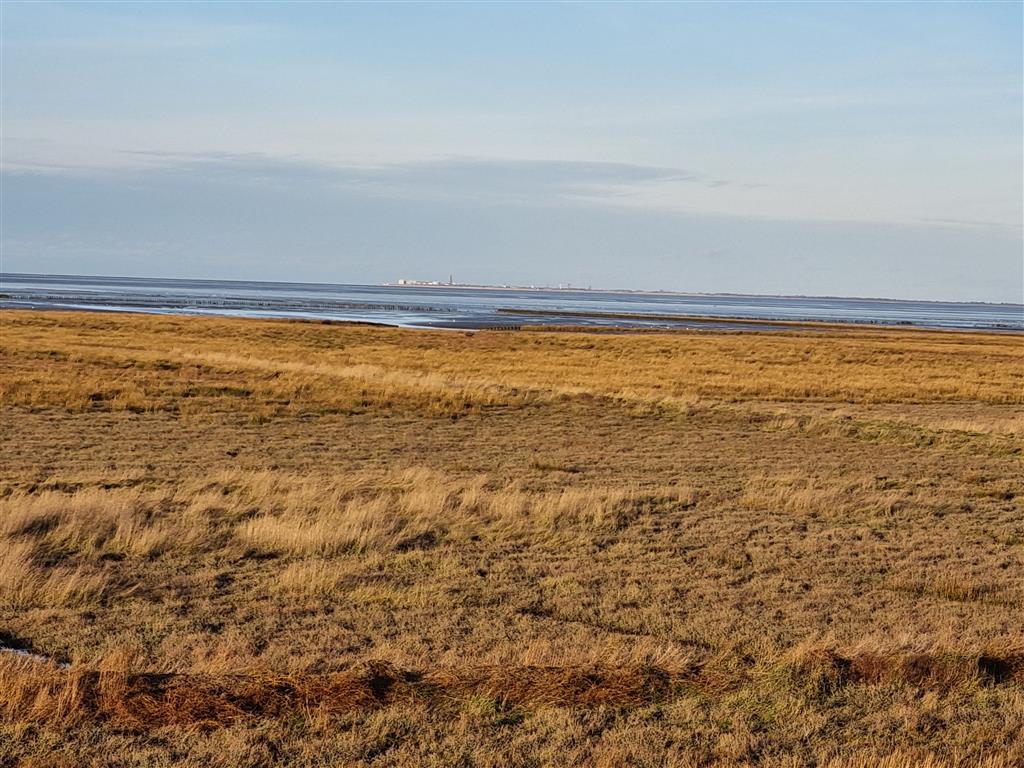 Bekijk foto 2 van Noorderdijk