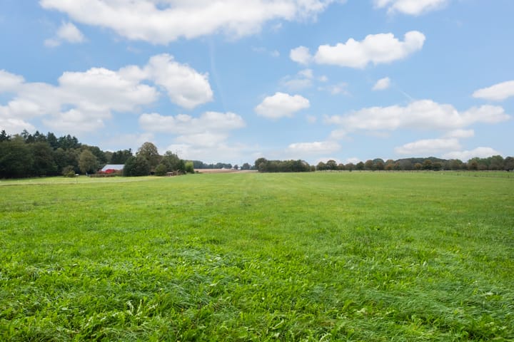 Foto 70 van Woutersweg 15