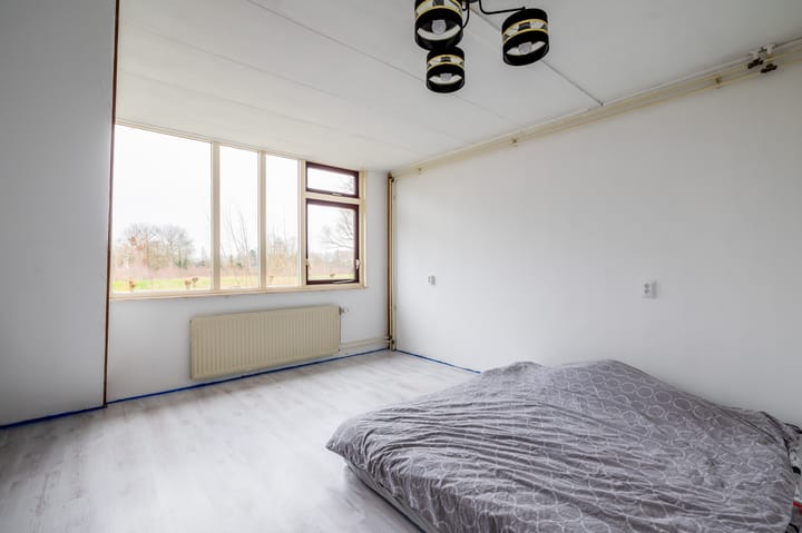 Foto 22 van Dorsvloer 138