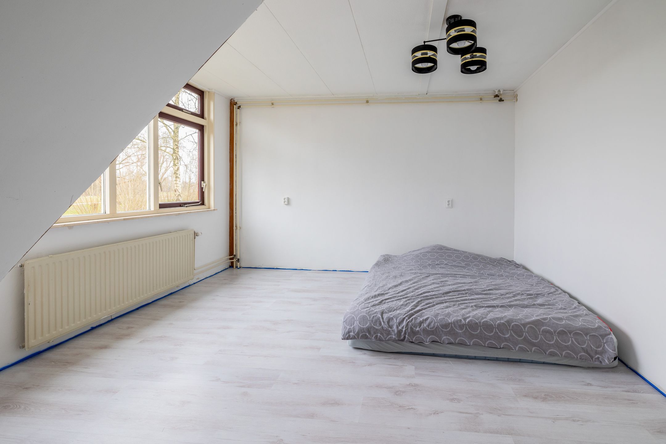 Foto 24 van Dorsvloer 138