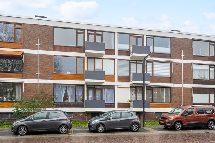 Bekijk foto 1 van van der Werffstraat 48