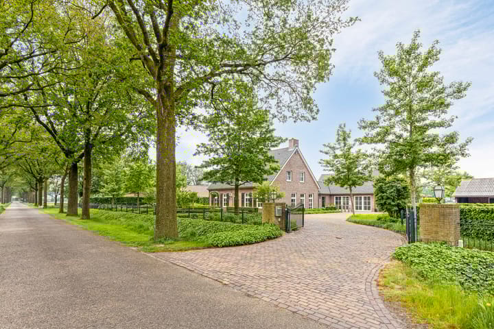 Foto 65 van Noordlaan 3