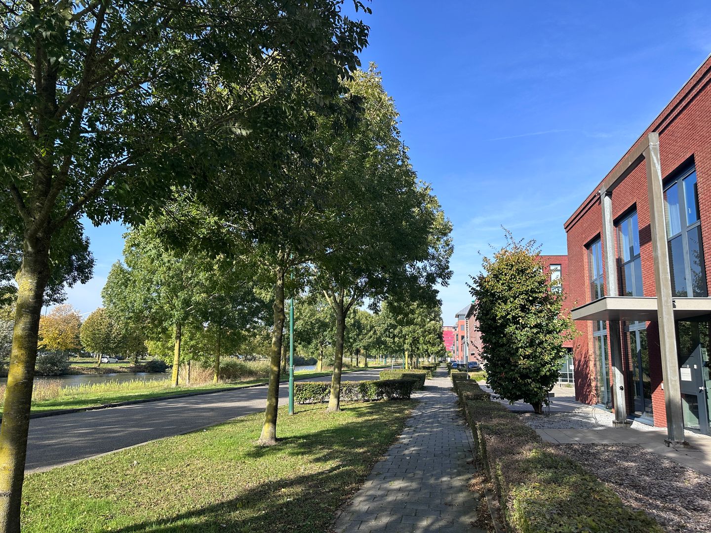 Bekijk foto 5 van Vleugelboot 20