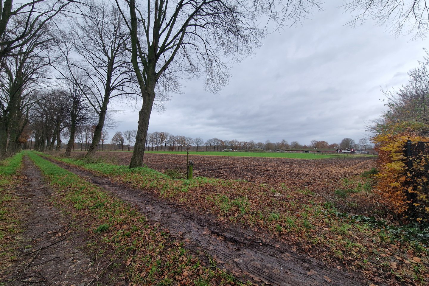 View photo 4 of Meijelsedijk