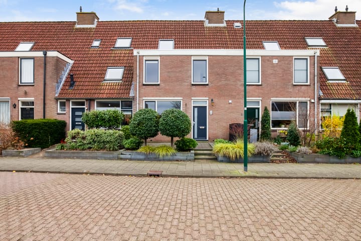 undefined main image