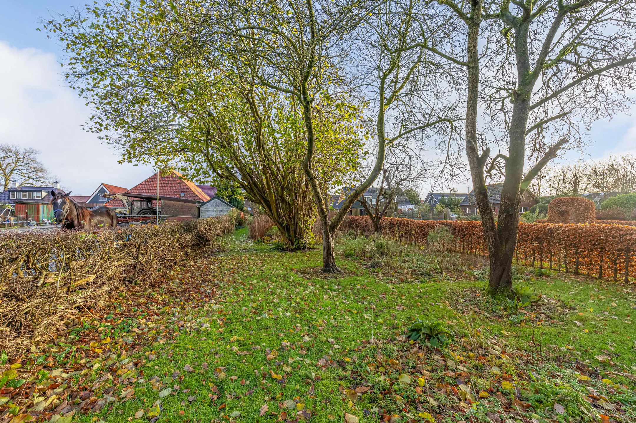 Photo 3 of Eikenlaan 25