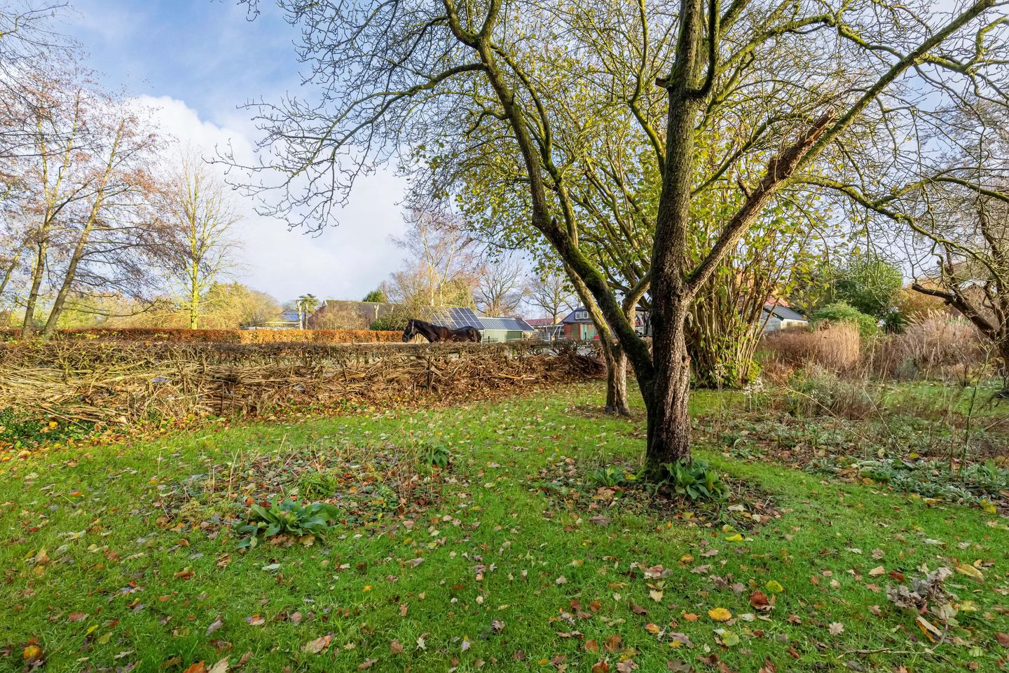 Photo 4 of Eikenlaan 25