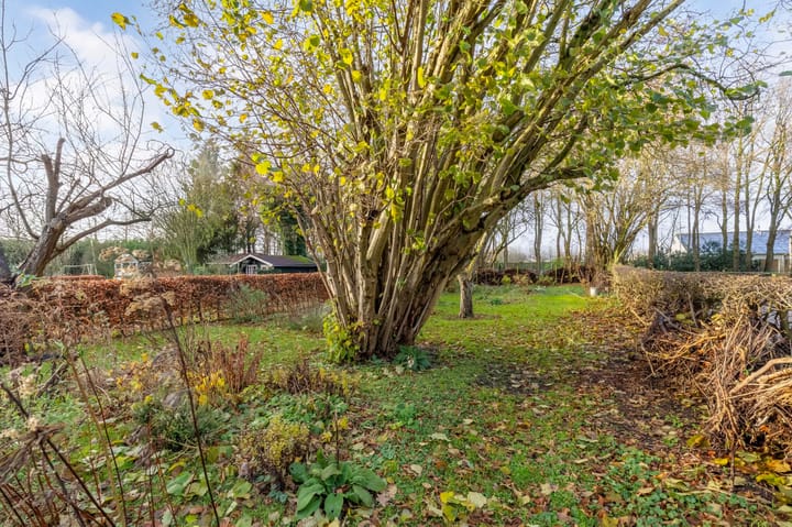 Foto 25 van Eikenlaan 25