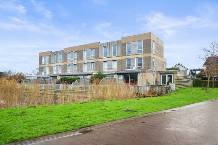 Foto 1 van Beukenhout 1