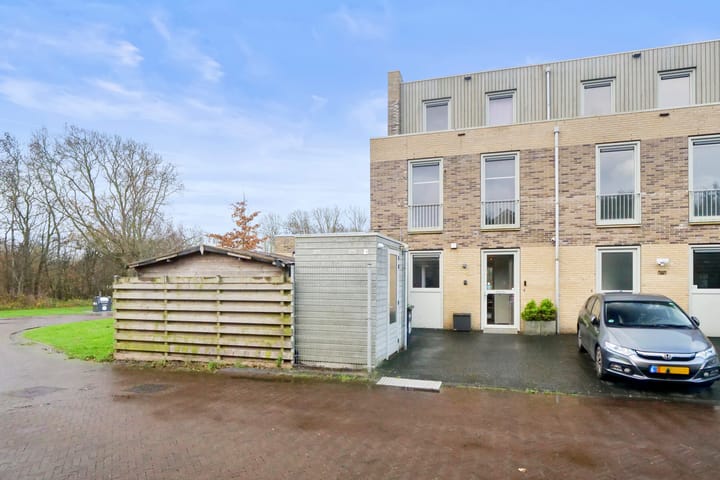 Foto 2 van Beukenhout 1