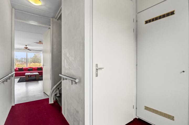 Foto 4 van Beukenhout 1