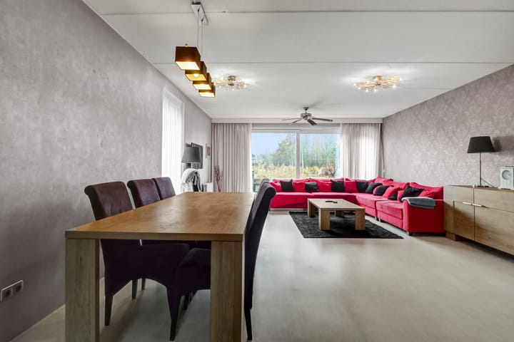 Foto 11 van Beukenhout 1