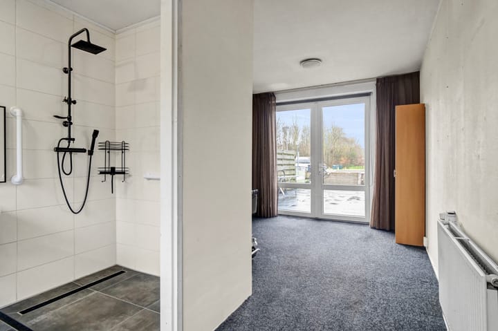 Foto 14 van Beukenhout 1