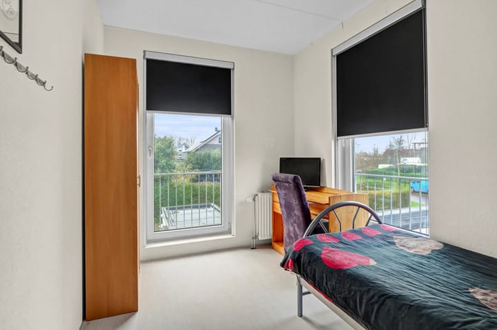 Foto 24 van Beukenhout 1