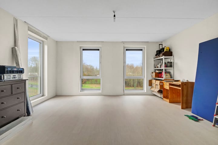 Foto 26 van Beukenhout 1