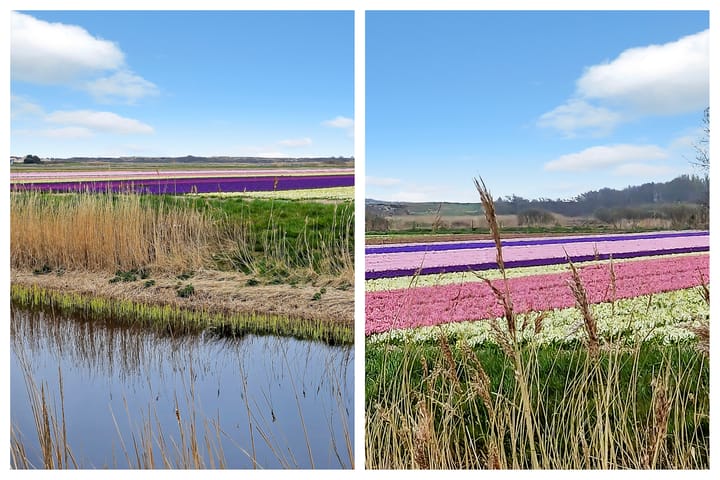 Foto 37 van Vogelarij 29