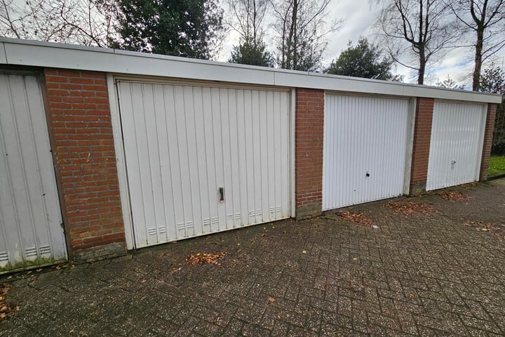 Bekijk foto 1 van Laan van de Iemenhees 428 B308