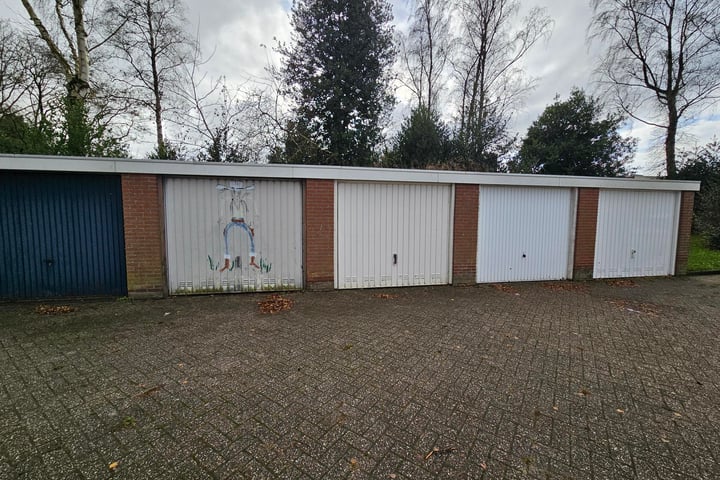 Bekijk foto 3 van Laan van de Iemenhees 428 B308