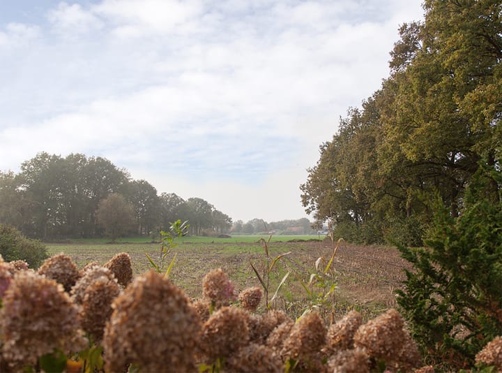 Foto 3 van De Heul 26