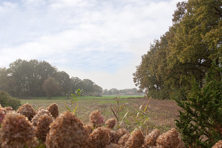 Bekijk foto 3 van De Heul 26