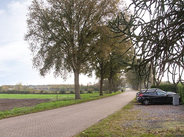 Foto 4 van De Heul 26