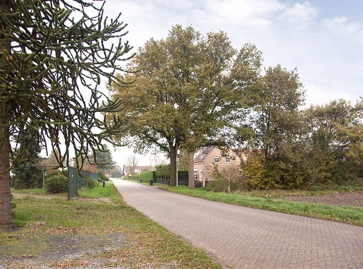 Foto 49 van De Heul 26