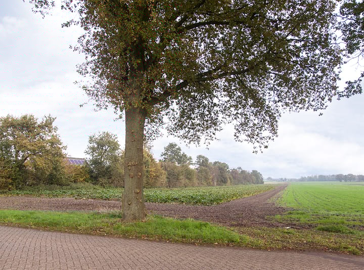 Foto 50 van De Heul 26