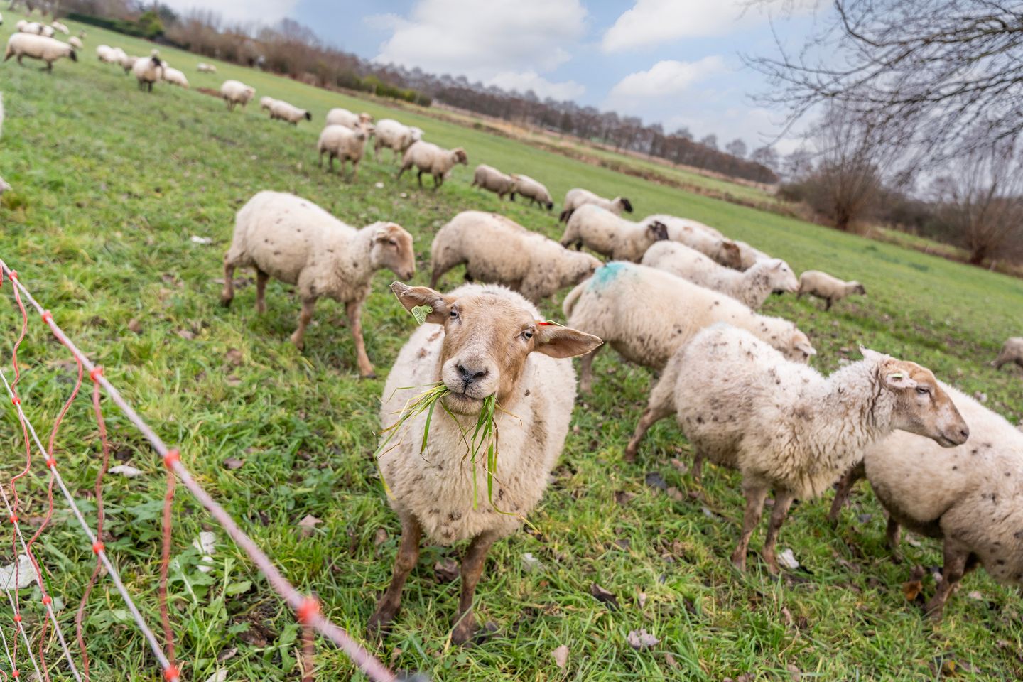 Photo 34 of Van Scorelstraat 74