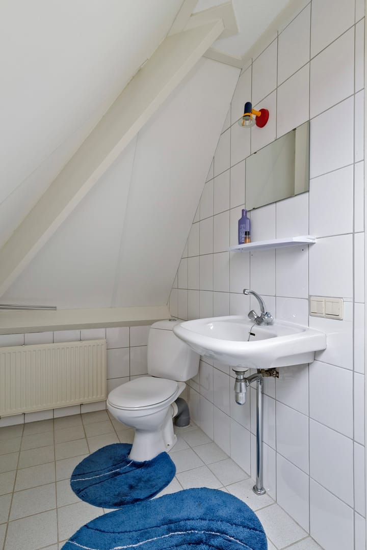 Foto 33 van de Veentjes 22