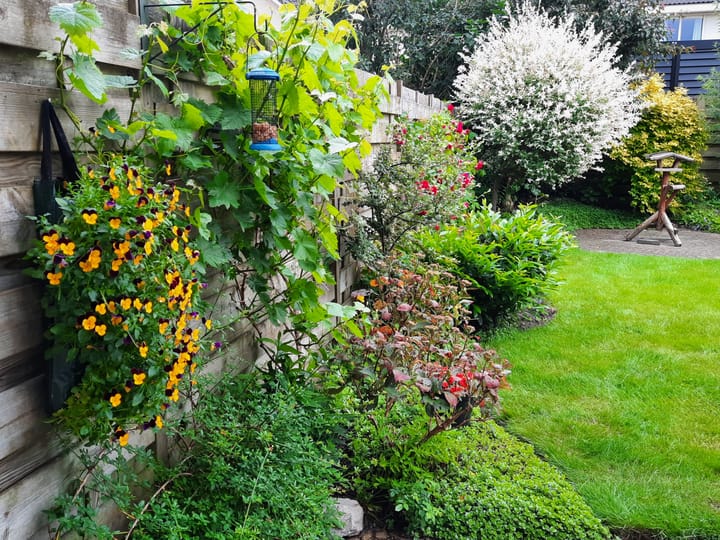 Foto 46 van Varenmos 11