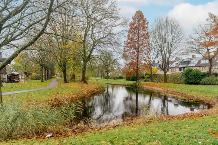 Foto 43 van Figarolaan 53