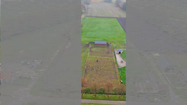 Foto 10 van Koestraat