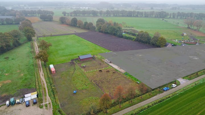 Foto 12 van Koestraat