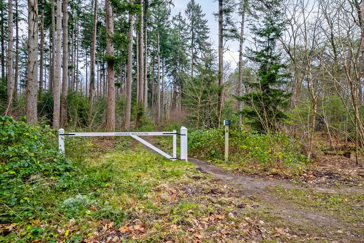 Foto 2 van Koningin Wilhelminalaan 2-A42