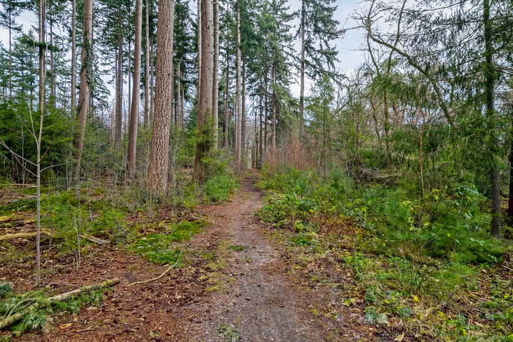 Foto 3 van Koningin Wilhelminalaan 2-A42