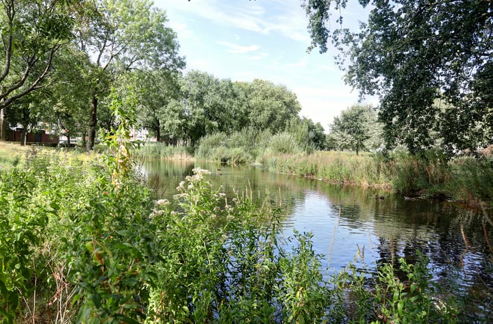 Foto 23 van Malvert 6947