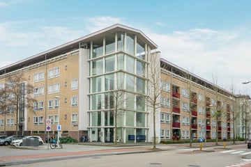 Aalbersestraat thumbnail