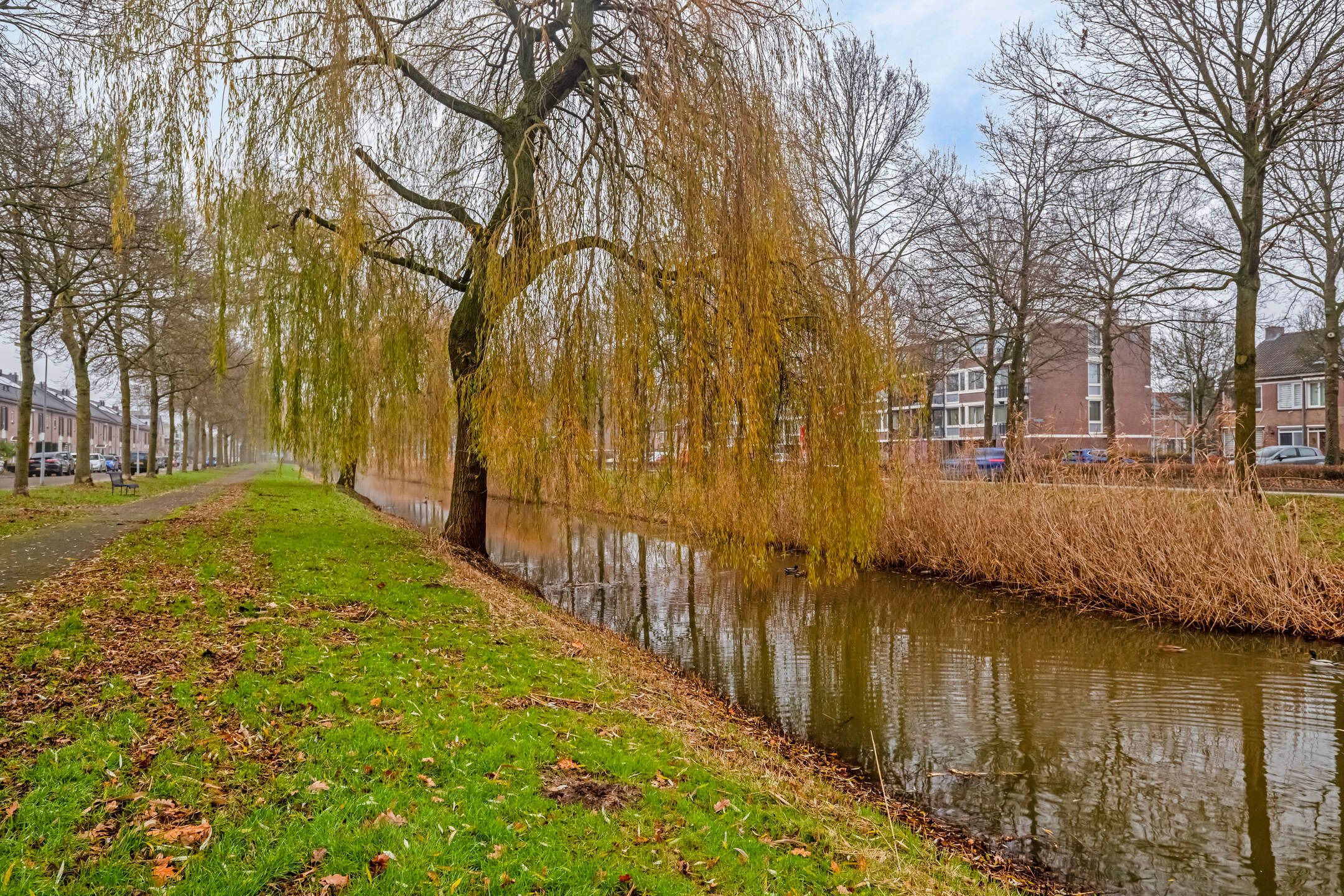 Foto 33 van Schubertsingel 110