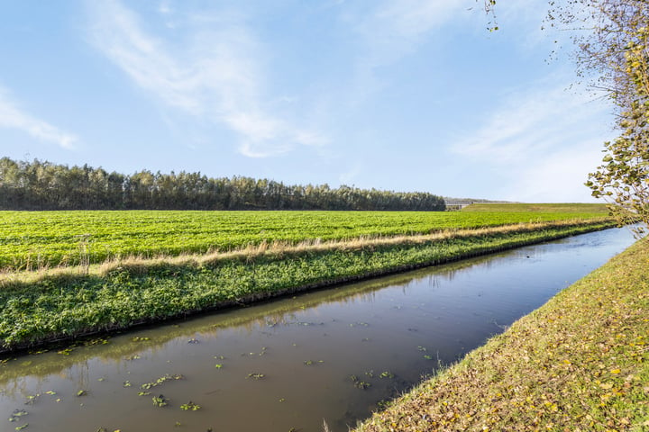 Bekijk foto 42 van Bennebroekerweg 647