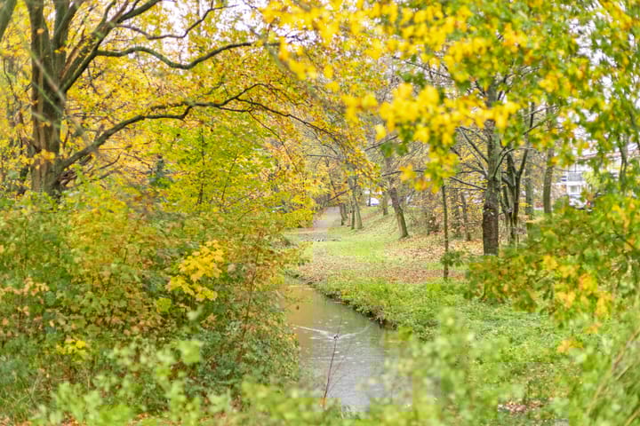 Foto 30 van IJsselsingel 36