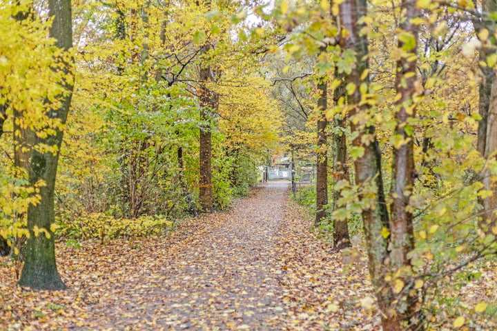 Bekijk foto 31 van IJsselsingel 36