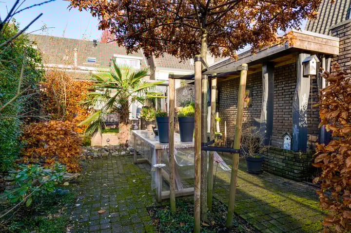 Foto 28 van Petrus Polliusstraat 39