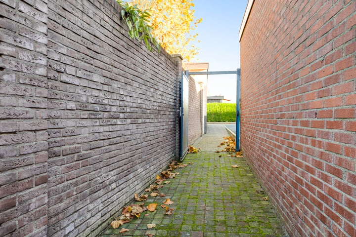 Bekijk foto 35 van Petrus Polliusstraat 39