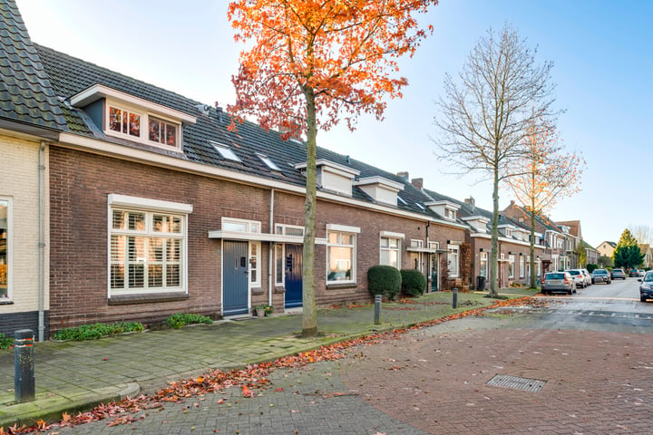 Bekijk foto 38 van Petrus Polliusstraat 39